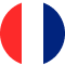 language-flag