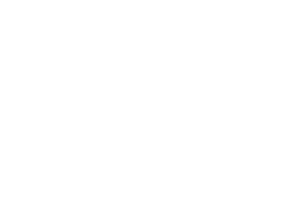 Play n GO logo